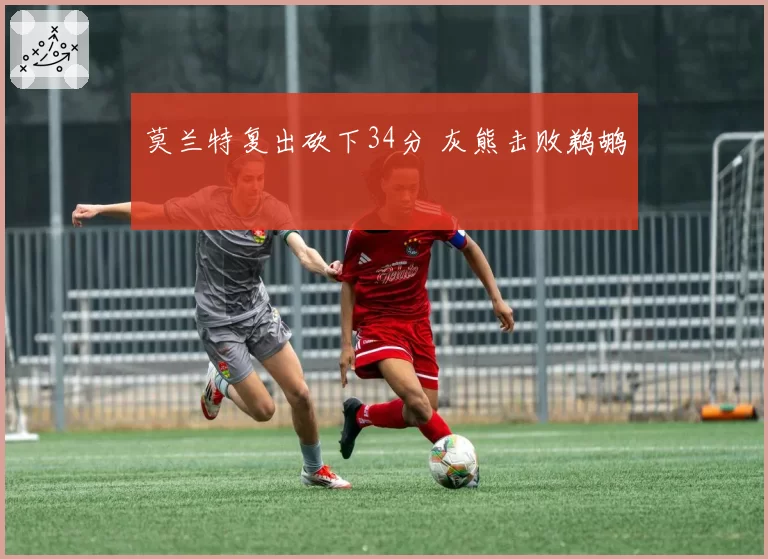 莫兰特复出砍下34分 灰熊击败鹈鹕